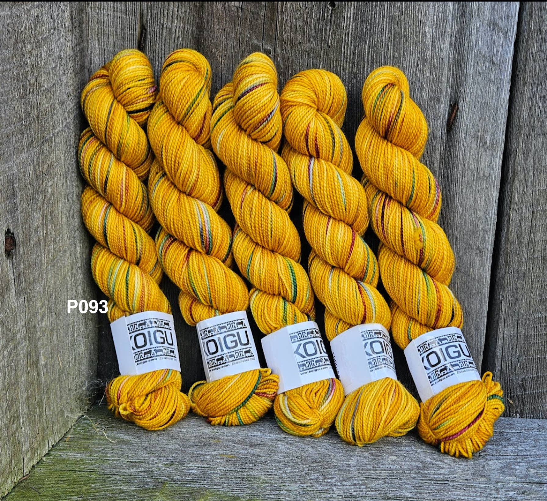 Koigu Wool Designs – Engroshandel Garn – KPPPM COLLECTION COLLECTION 10 nøgter/taske23