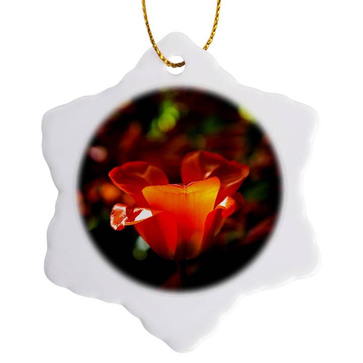 3dRose - Wholesale Ornament - 3dRose, Beautiful sunlit red tulip flower, play of light and shadows, Ornament