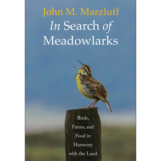Bradley's Book Clearance - Wholesale Nature & Outdoors - In Search Of Meadowlarks: Birds, Farms, And Food Harmony