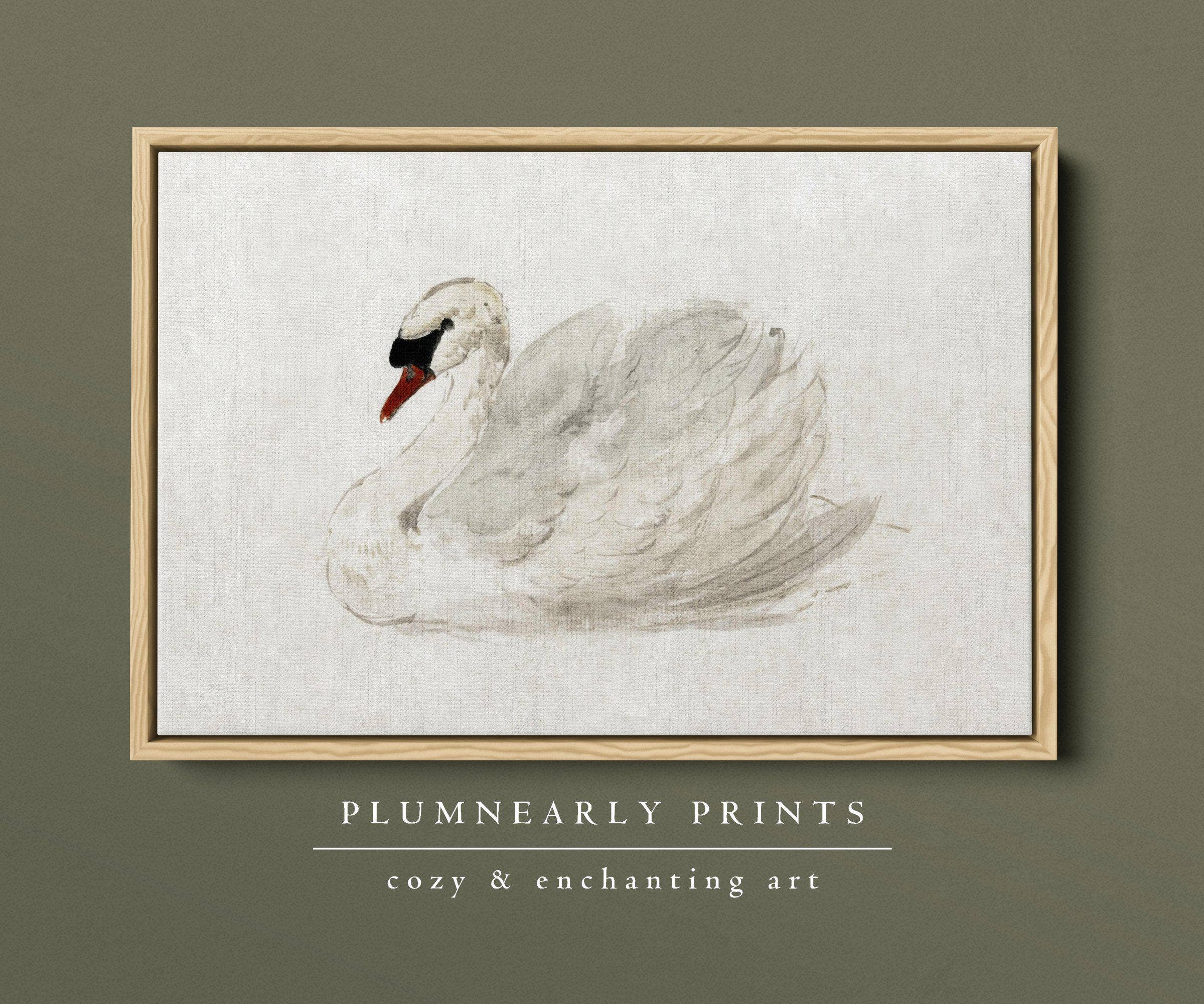 Plumnearly Prints - Wholesale Canvas Art - White Swan Neutral Watercolor Painting Framed Canvas Art 45