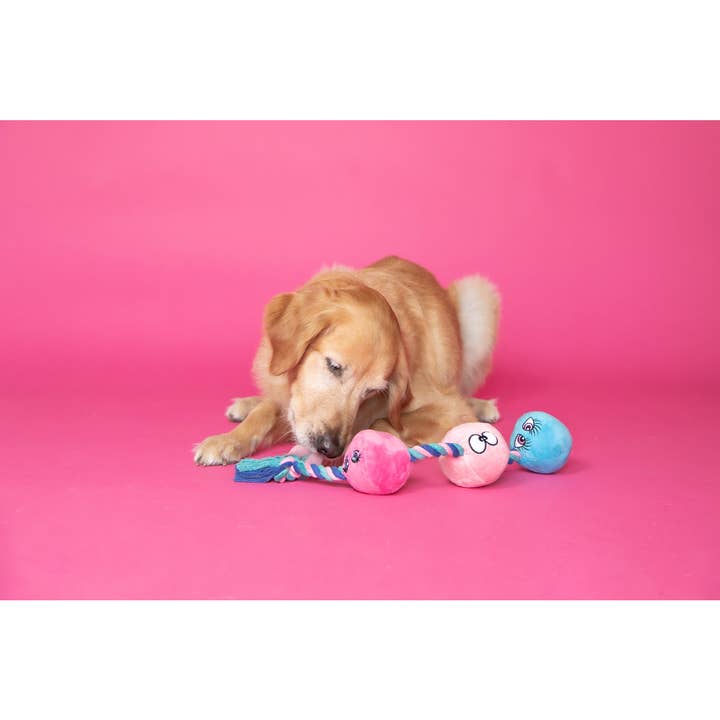 C1R B2B - Vente Peluche – chien - Scruffy - Tirez sur les boutons 1