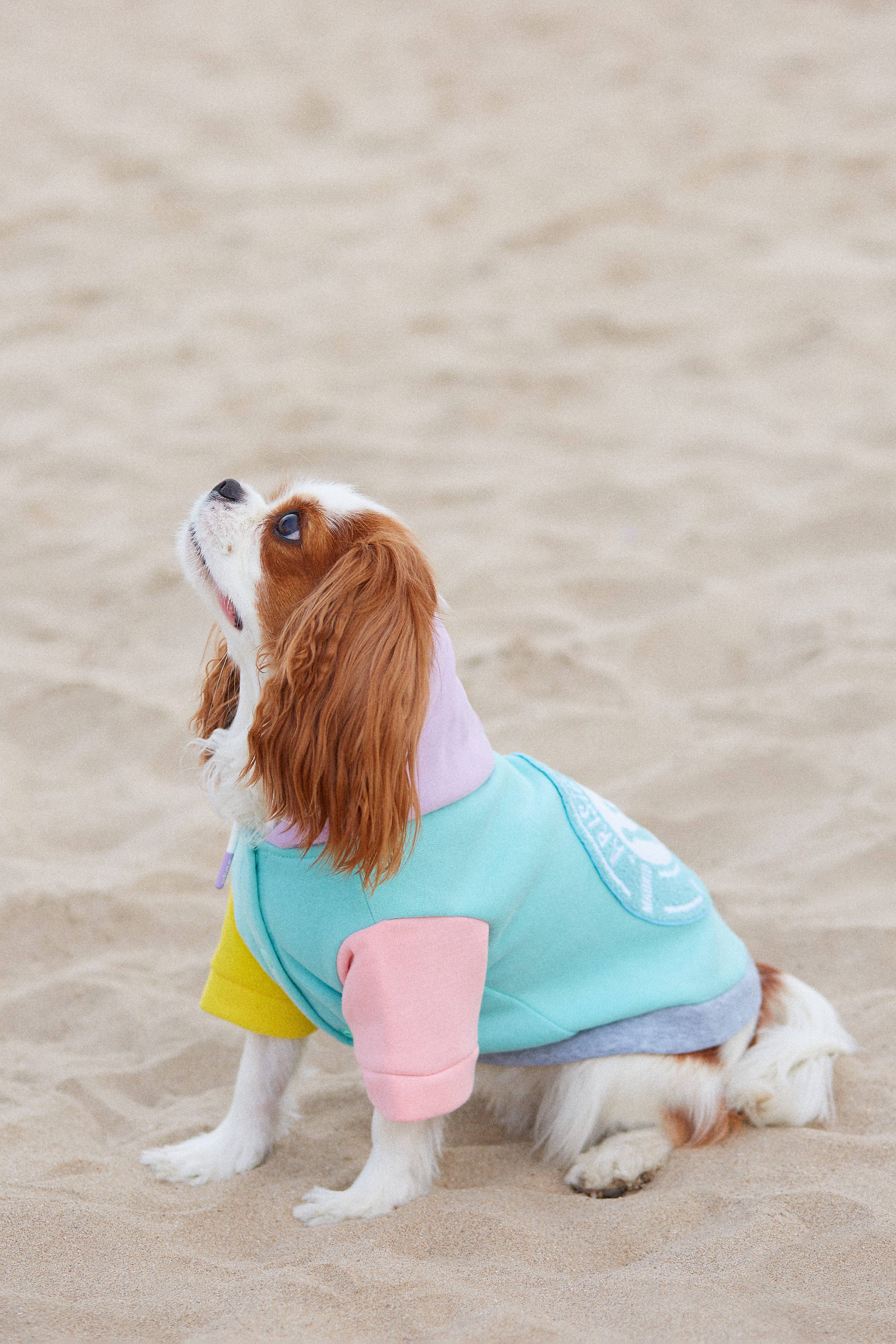 ARISTOPET - Wholesale Pet Hoodie - Dog - AUGUSTO AQUA HOODIE SWEATSHIRT9
