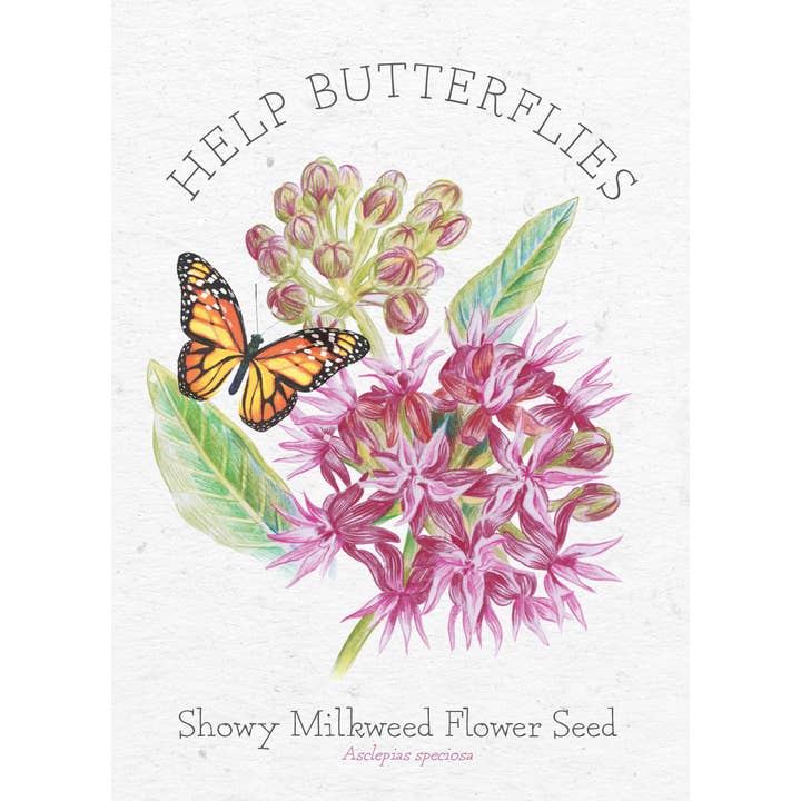 Bentley Seed Co. - Vente Graines de plantes - Sachets de graines d'asclépiade pour papillons Showy