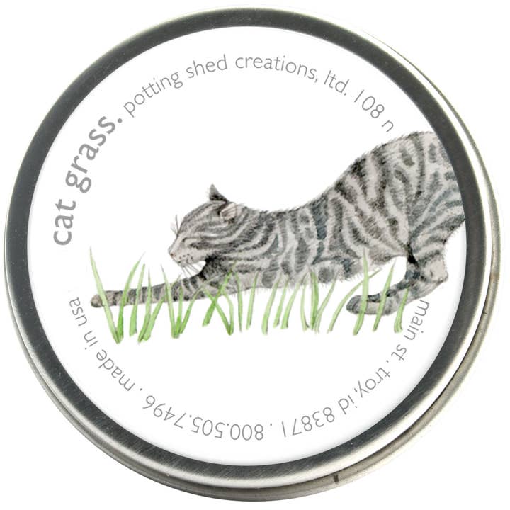 Potting Shed Creations, Ltd. - Wholesale Pet Toy - Cat/Dog - Pet Garden Sprinkle Pail | Best Seller