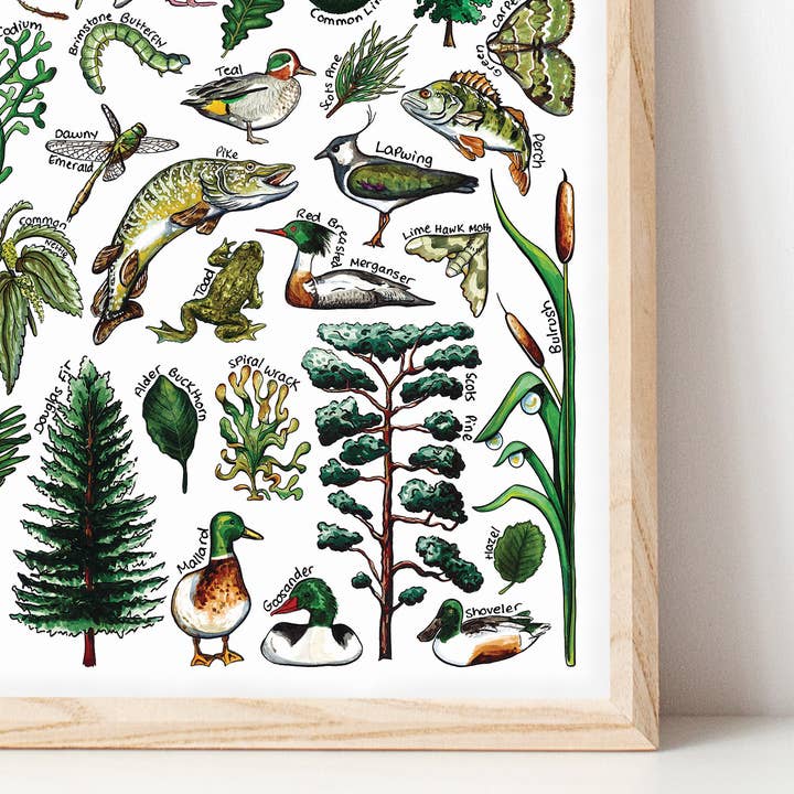 Dark green British wildlife print for wholesale by Alexia Claire Ltd