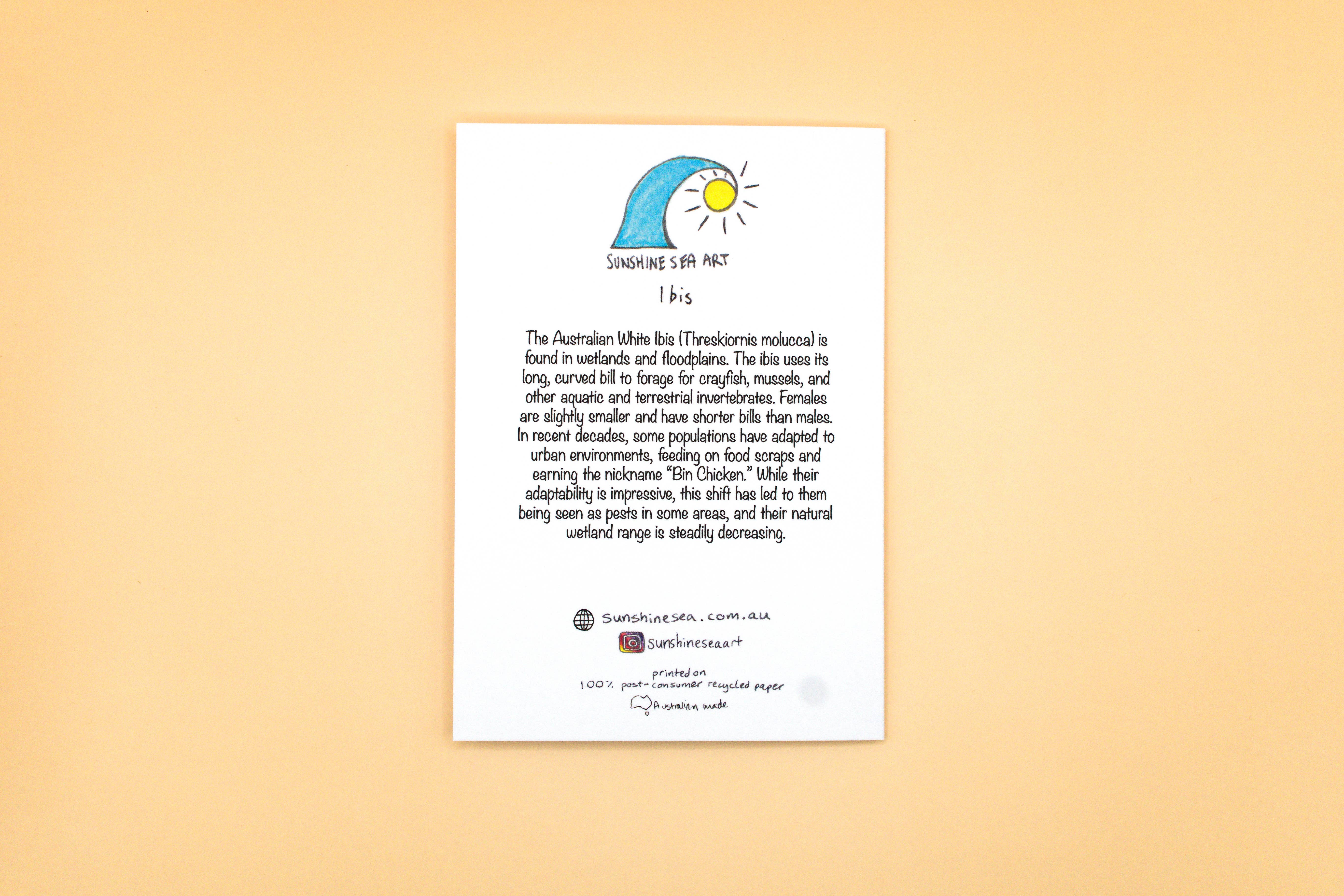 Sunshine Sea Art - Wholesale Birthday card - Ibis Greeting Card | Aussie Bin Chicken Bird Birthday Card1