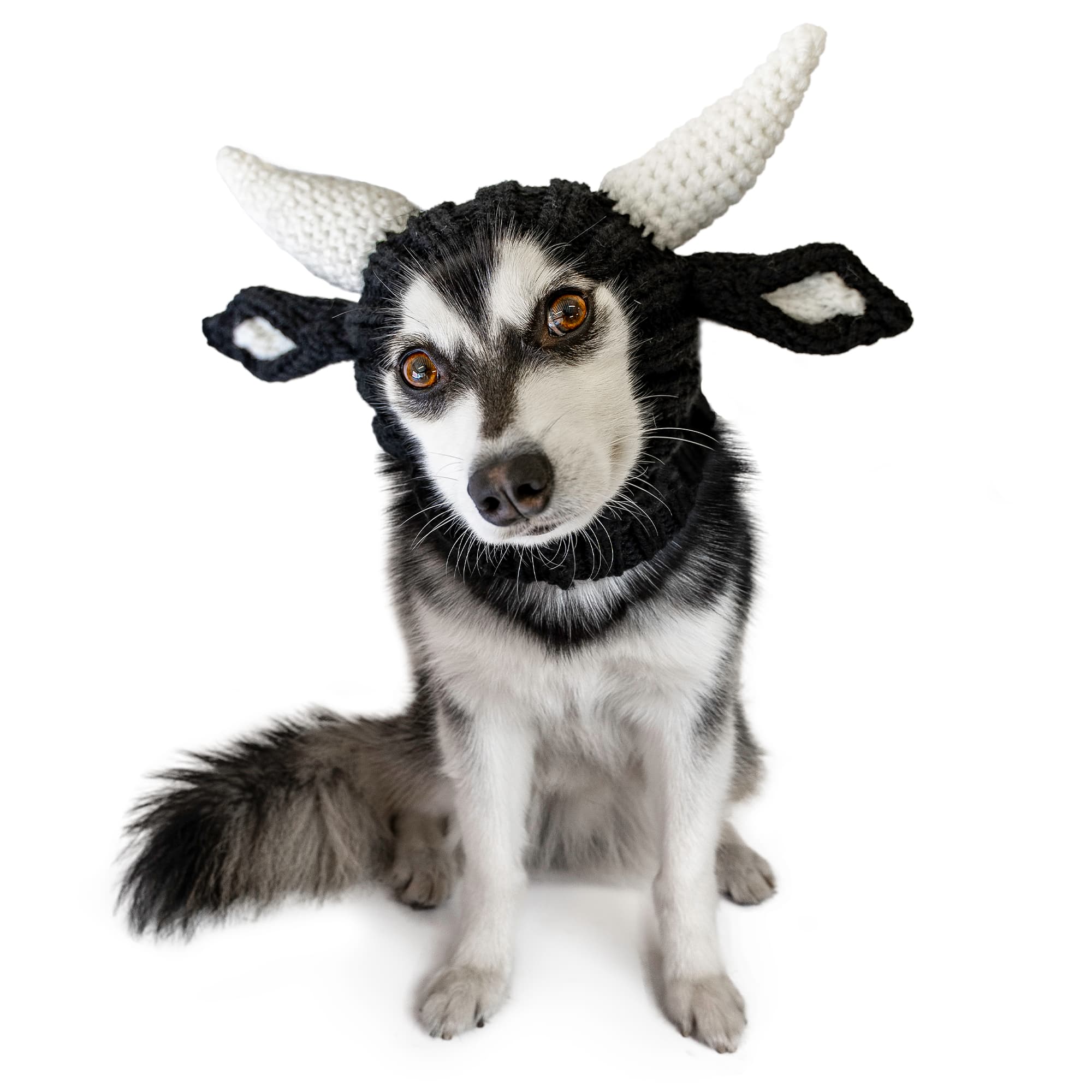 Zoo Snoods - Vente Tour de cou – chien - Snood pour bouledogue10