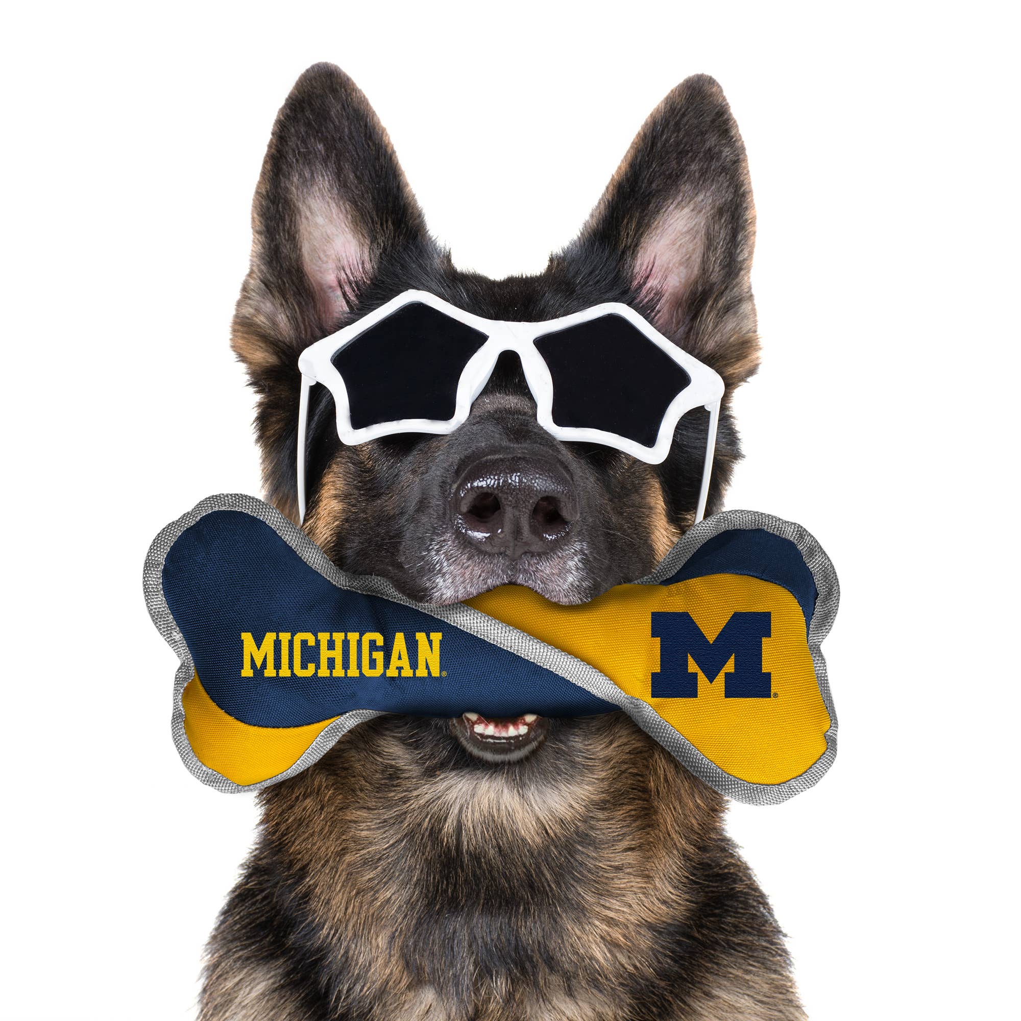 Little Earth Productions - Wholesale Pet Toy - Dog - NCAA Michigan Wolverines Pet Tug Bone1