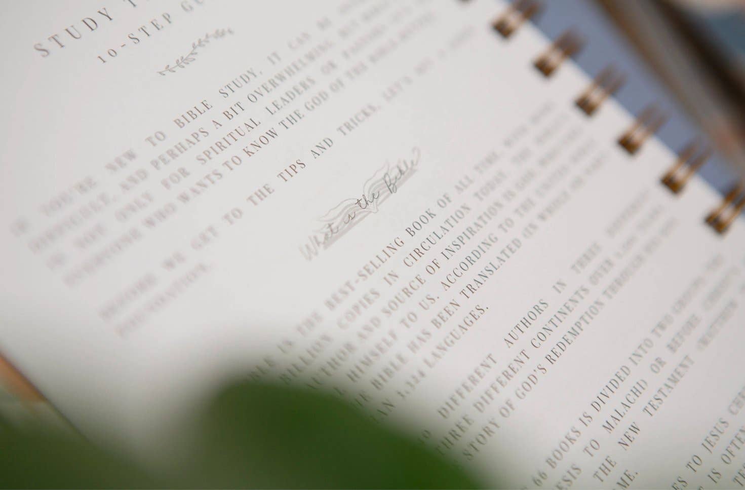 Chosen & Cherished - Wholesale Journal/Diary - Bible Journal for Verse by Verse Bible Study8