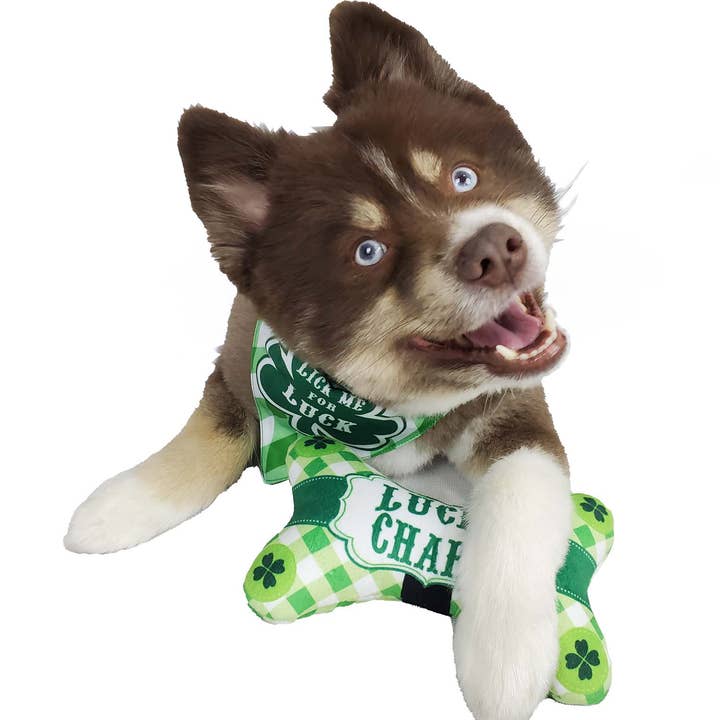 Barker's Bowtique - Wholesale Pet Plush Toy - Dog - HIP DOGGIE ST. PATRICK'S SHAMROCK BONE TOY
