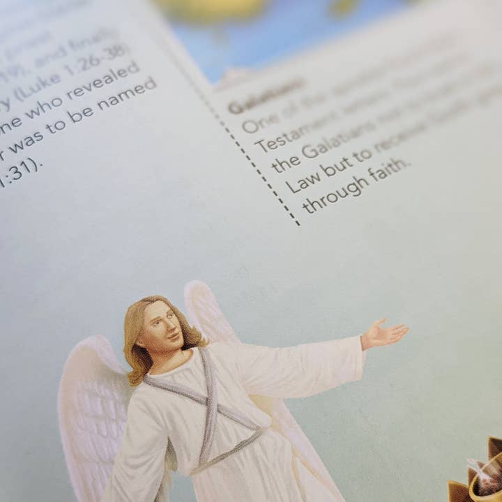 Robert Frederick Ltd – wholesale Reference book – The Complete Illustrated Children's Bible Dictionary5