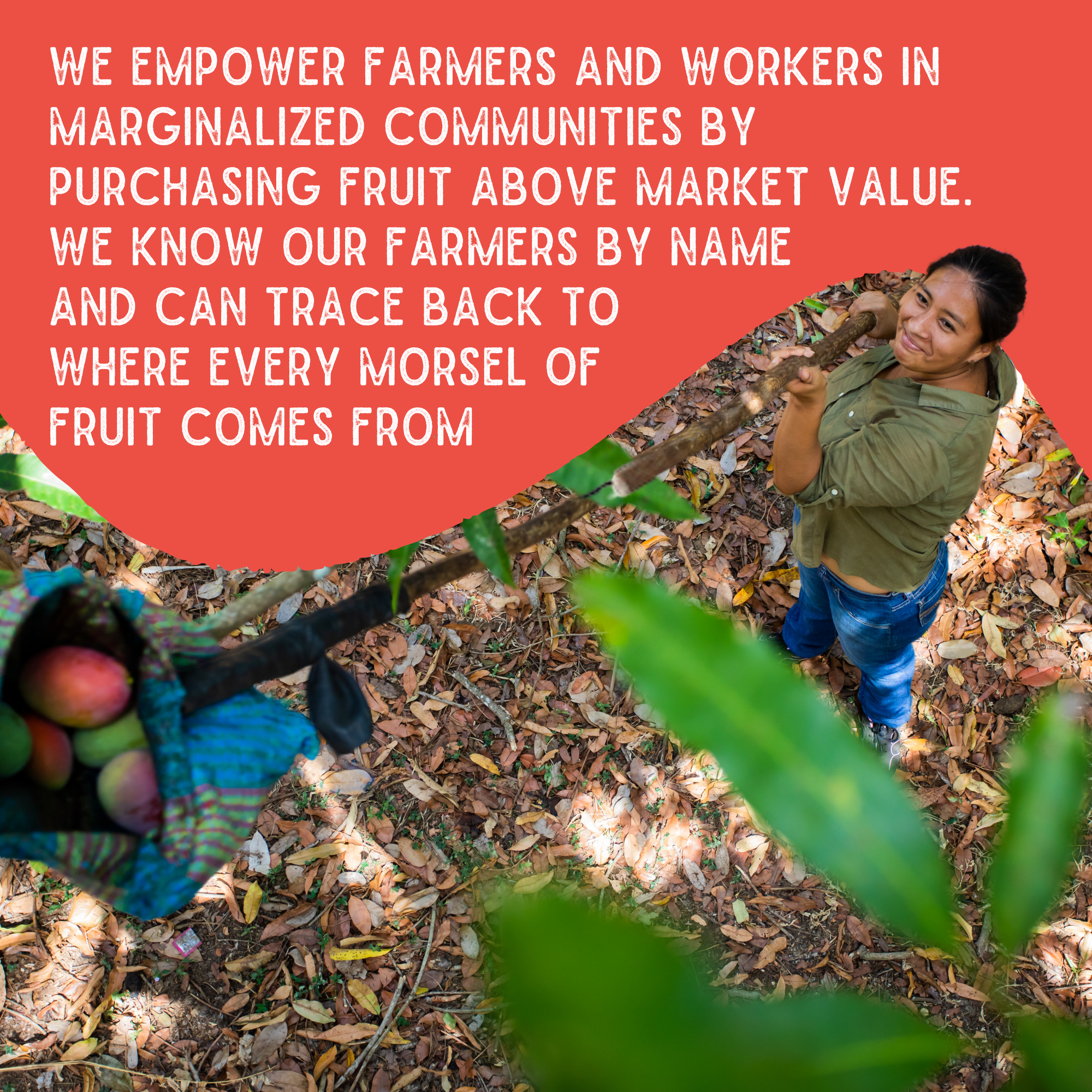 Sol Simple - Wholesale Dried/Dehydrated Fruit - Regenerative Organic Certified Solar Dried Chili Mango-3oz 5