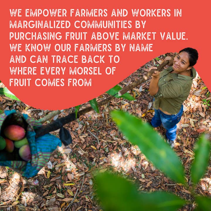 Sol Simple - Wholesale Dried/Dehydrated Fruit - Regenerative Organic Certified Solar Dried Chili Mango 6oz 5