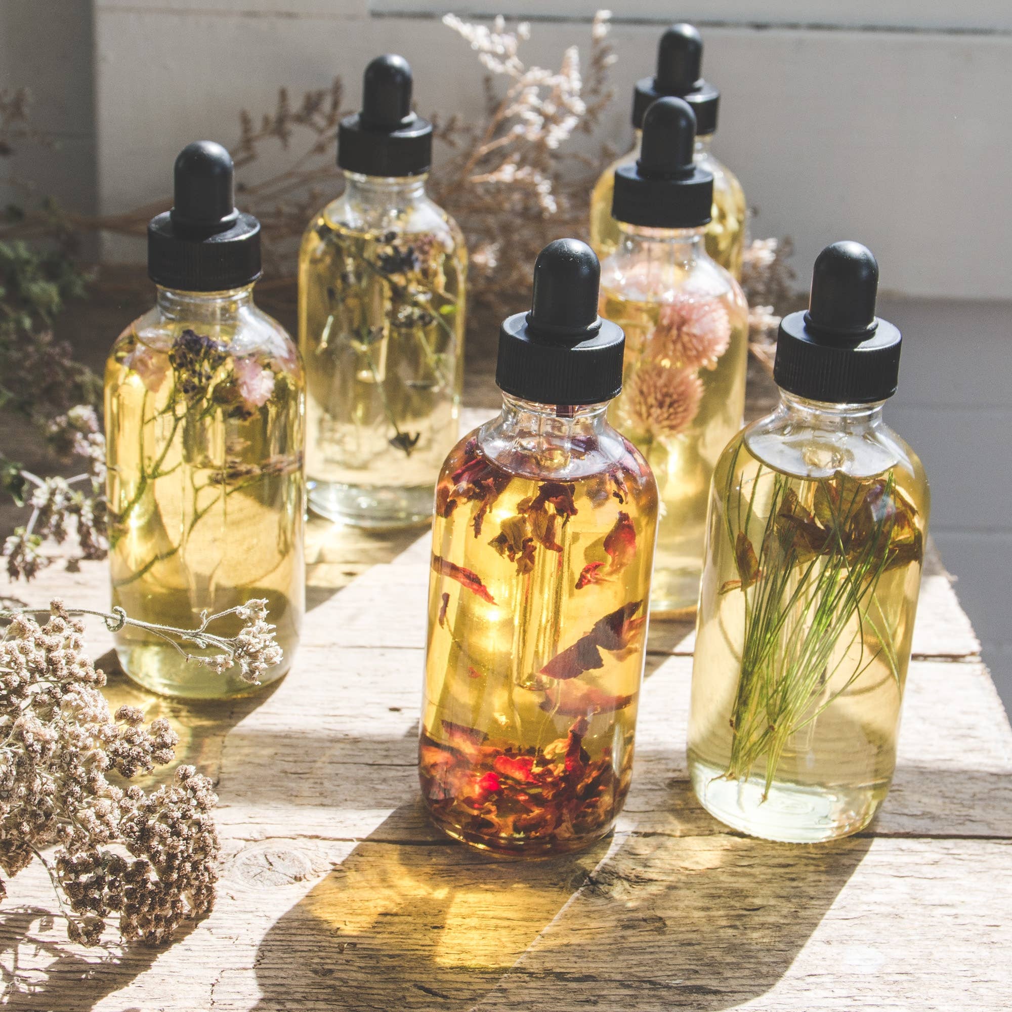 Wildwood Creek - Wholesale Bath/Body Oil - Wildflower Nourishing Natural Body + Bath Oil |Vegan Organic3