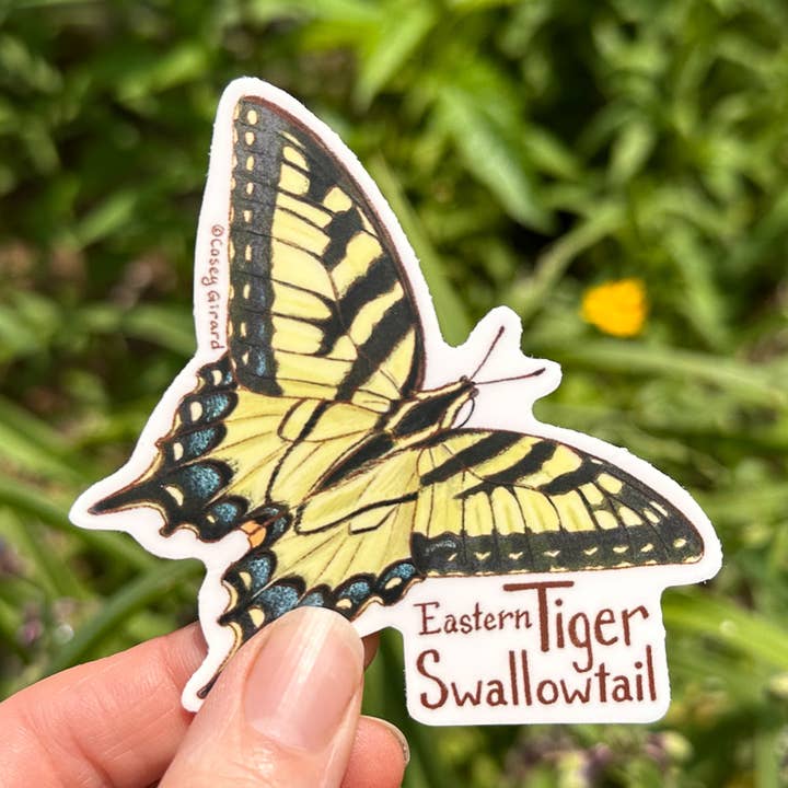 River Thrush Studio - Wholesale Sticker - Eastern Tiger Swallowtail - Vinyl Sticker