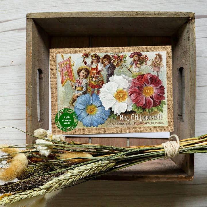 Seeds with Love - Wholesale Everyday Greeting Card - Greeting card with a gift of seeds - Vintage Pansy Landscape