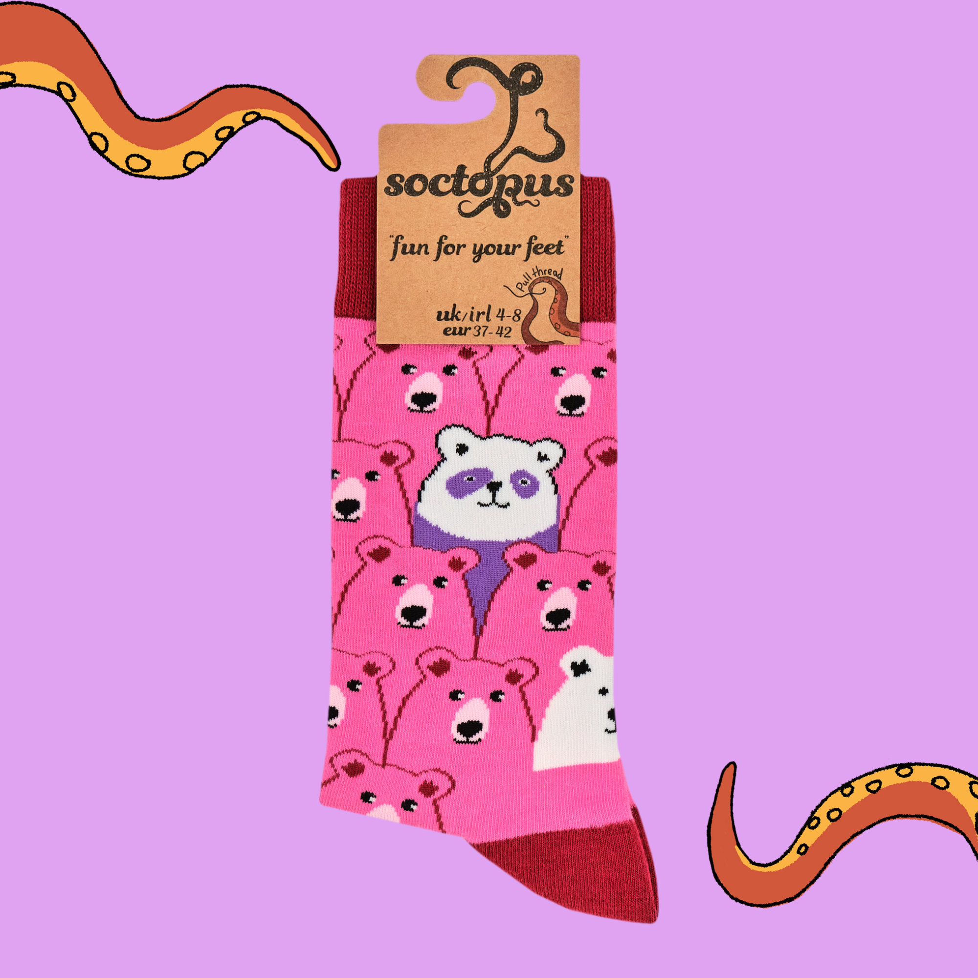 Socktopus – wholesale Socks – Unisex – Bear Hunt Socks9