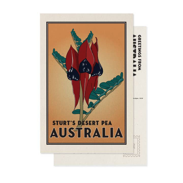 Sturt's Desert Pea Postcard | Australia | Souvenir for wholesale by Little Green Mini Creative