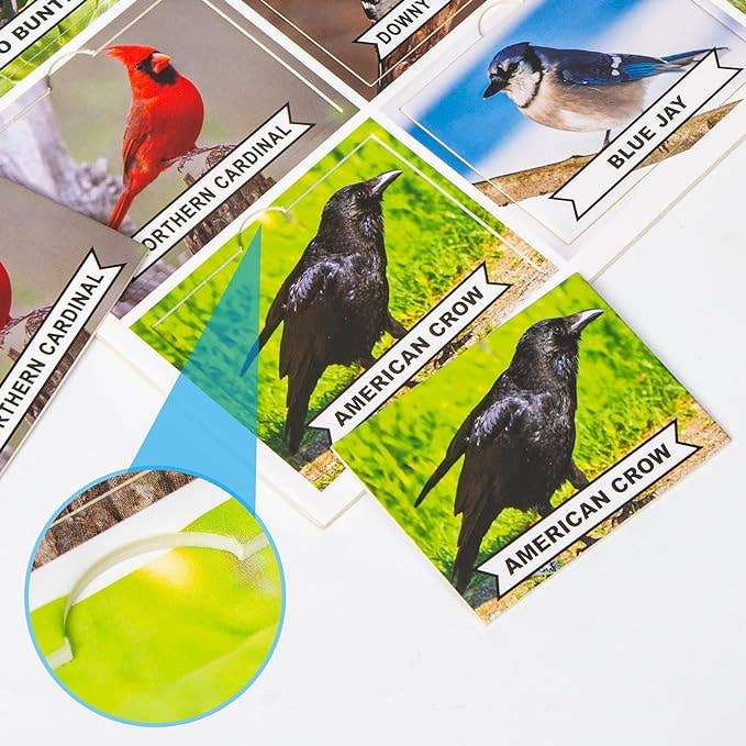 Assistex - Wholesale Card Game - Assistex Matching Game Activity Board - Dementia Activities for Seniors - Memory Games for Adults with Alzheimers - Memory Loss and Alzheimers Activities - Matching Card Memory Games for Seniors3