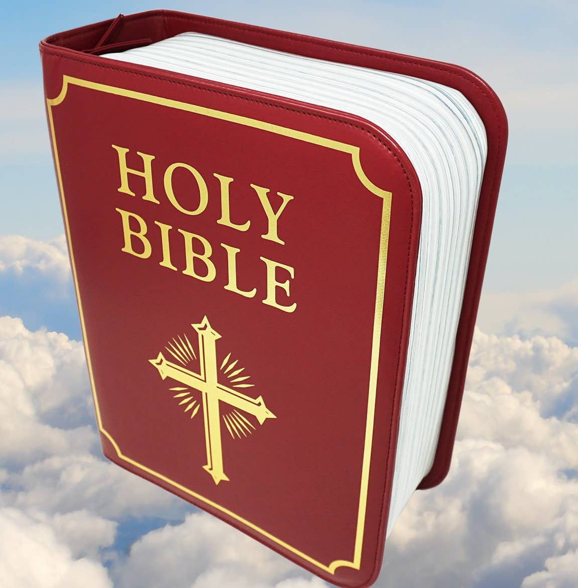 Beersy - Wholesale Cooler/Cooler Bag - Booze Bible Soft Cooler Bag, Soft Sided Cooler,6 Cans2