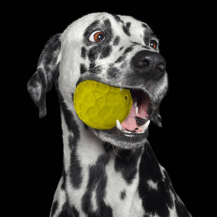 Croci - Wholesale Pet Fetch Ball - Dog - Natural rubber dog ball - Panton - Crosses5