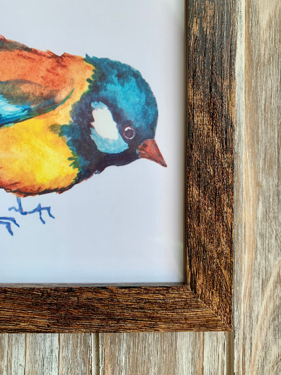 Magnifique Hearts – Großhandel Kunstdruck – Niedliche ornithologische Drucke, 8x8 Zoll, Vogeldrucke5