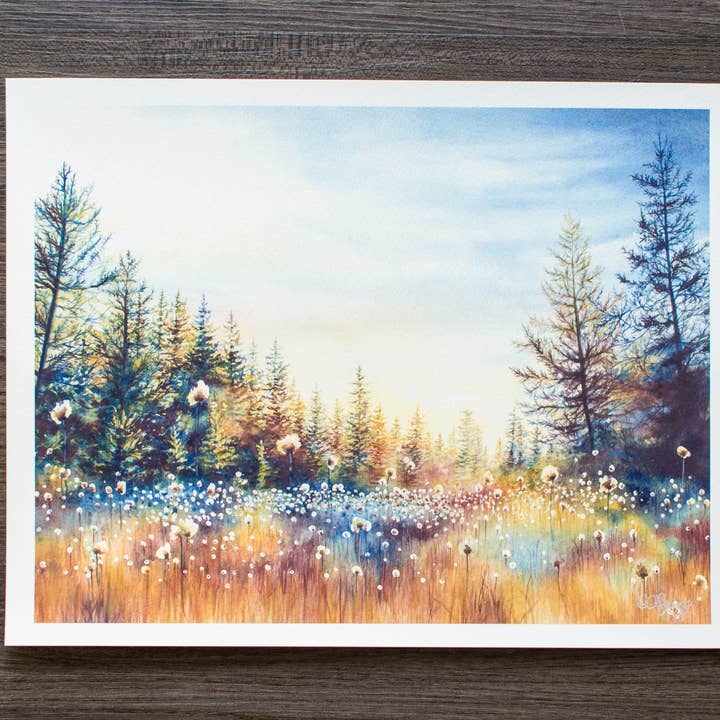 Dolly Sods Bog in Autumn Print for wholesale by Octavia Spriggs Fine Art