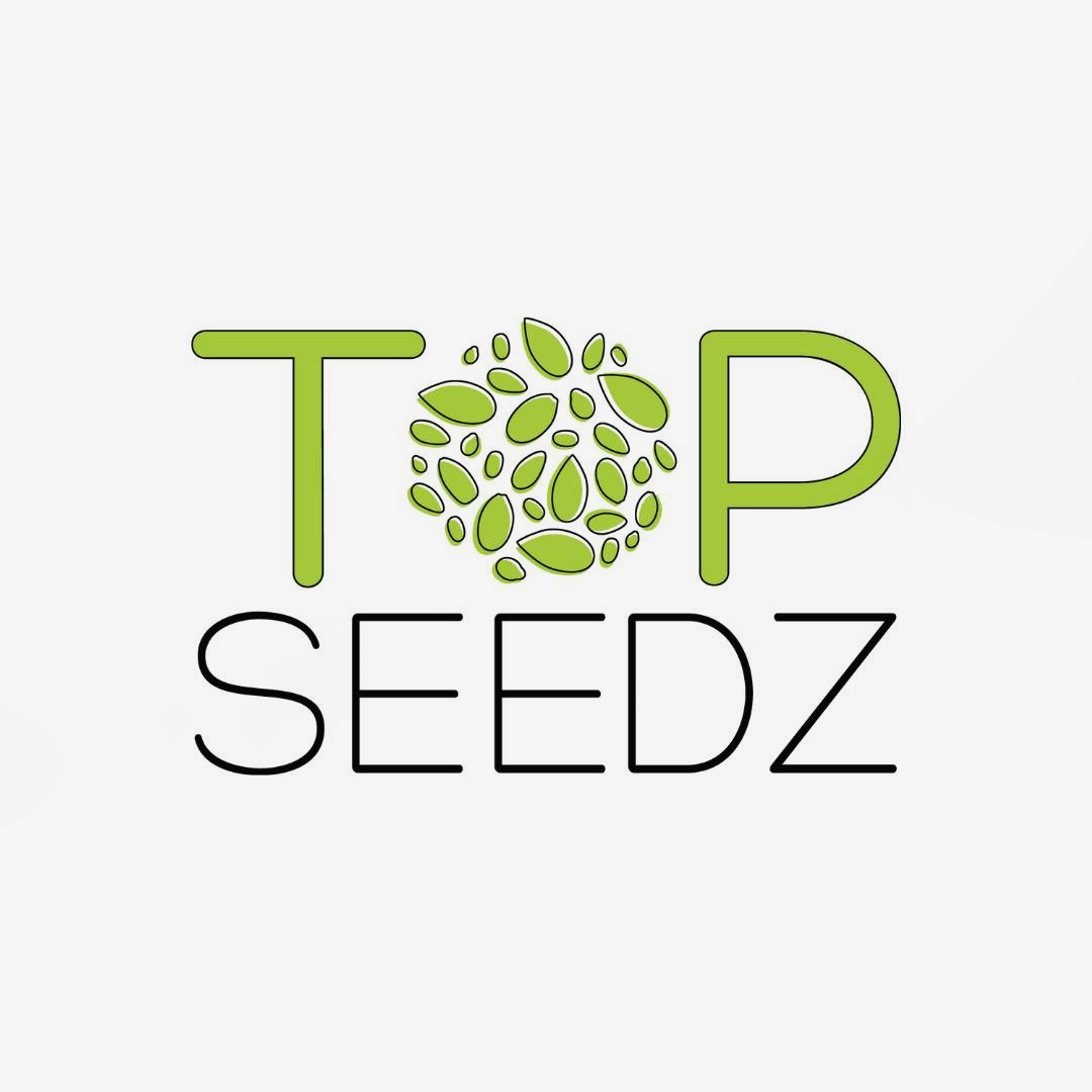 Organic Arrowroot Powder – Top Seedz