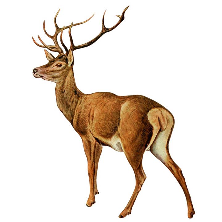 Animals/ Birds/Fish/ Brown Deer Linen Pillow for wholesale by Ox Bow Decor