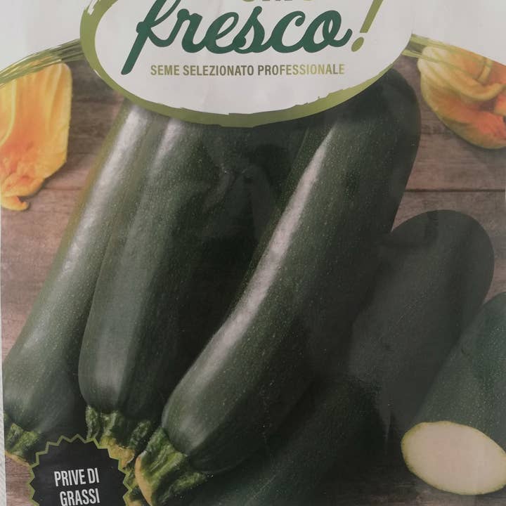 Sementi & Barbatelle - Wholesale Plant Seeds - Black Zucchini of Milan