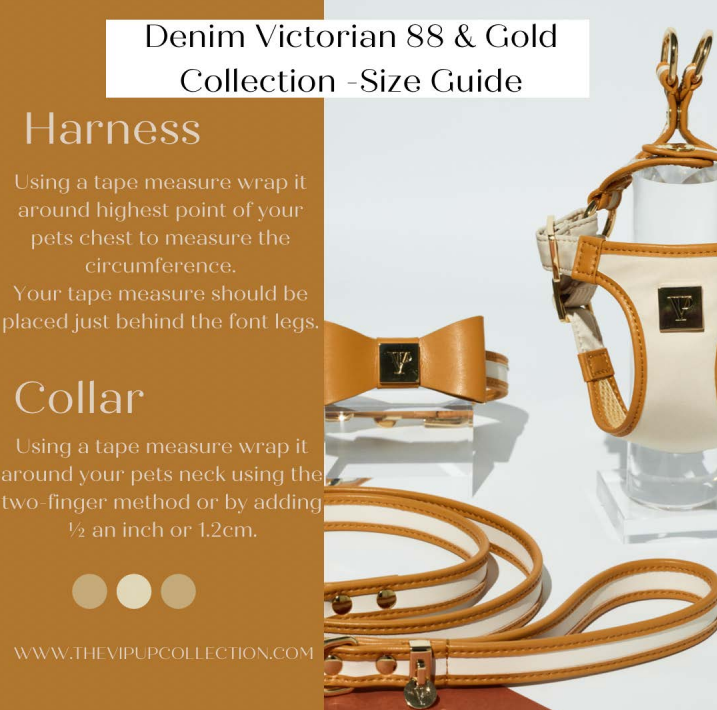 The V.I.PUP Collection - Wholesale Pet Collar - Dog - Denim Victorian 88 & Gold Collar7