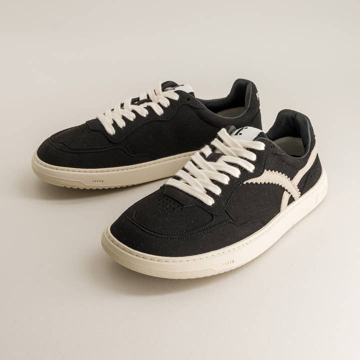 Black Kiwi for wholesale by Fleeters