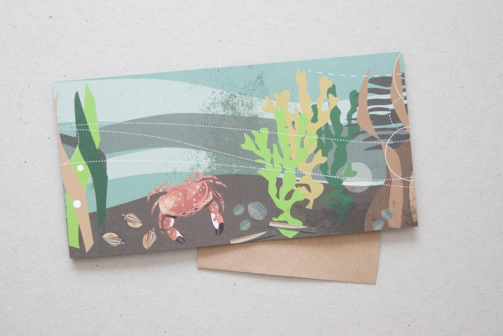 Loopvis - Wholesale DIY Craft Kit - Wadden Sea Aquarium3