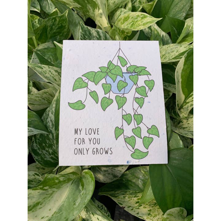 Seeds of Paper – Großhandel Geburtstagskarten – Set mit Pflanzen-Themen-Karten5