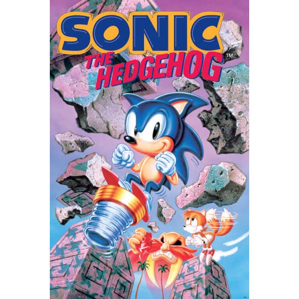 Scorpio Posters - Wholesale Poster - Sonic the Hedgehog Break Through Rocks Poster - 24" x 36"