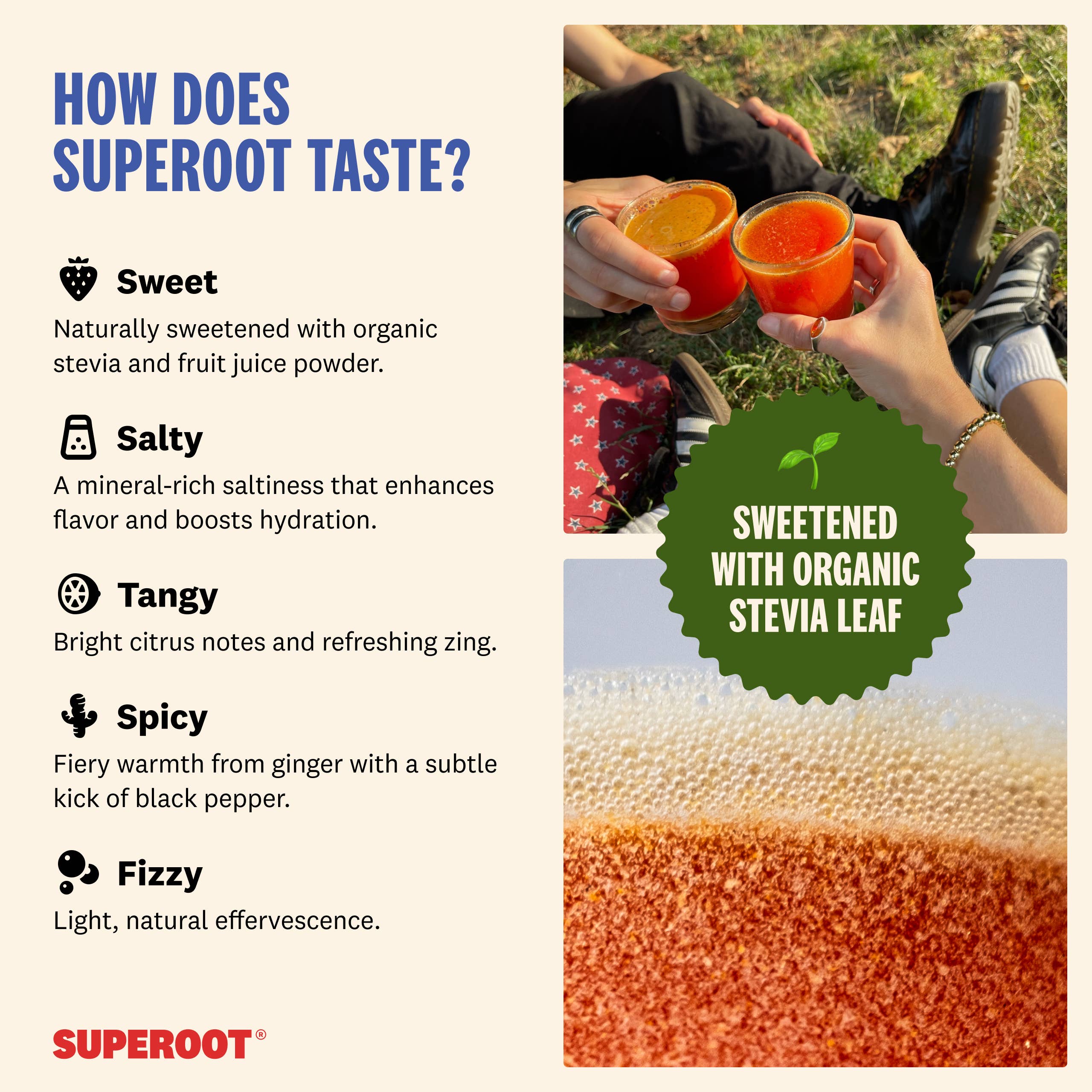 Superoot - Venta al por mayor Proteínas en polvo - Mezcla de Superalimentos para Inmunidad e Hidratación - Bayas Mixtas | 12 unidades3