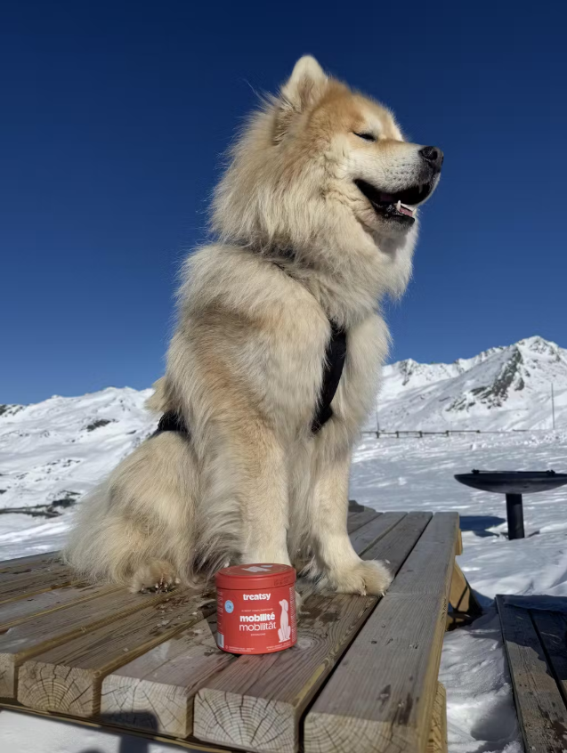 Treatsy - Vente Compléments alimentaires – chien - Complément pour hanches et articulations pour chiens | Recommandé par vétérinaires | Poulet11