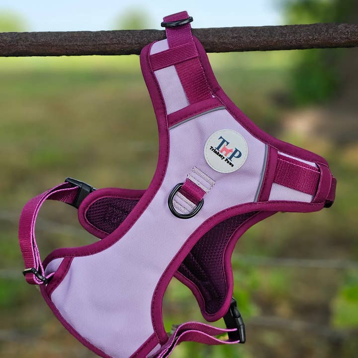 Stormberry – EasyFit™ Dog Harness by Trinkety Paws for wholesale by Trinkety Paws