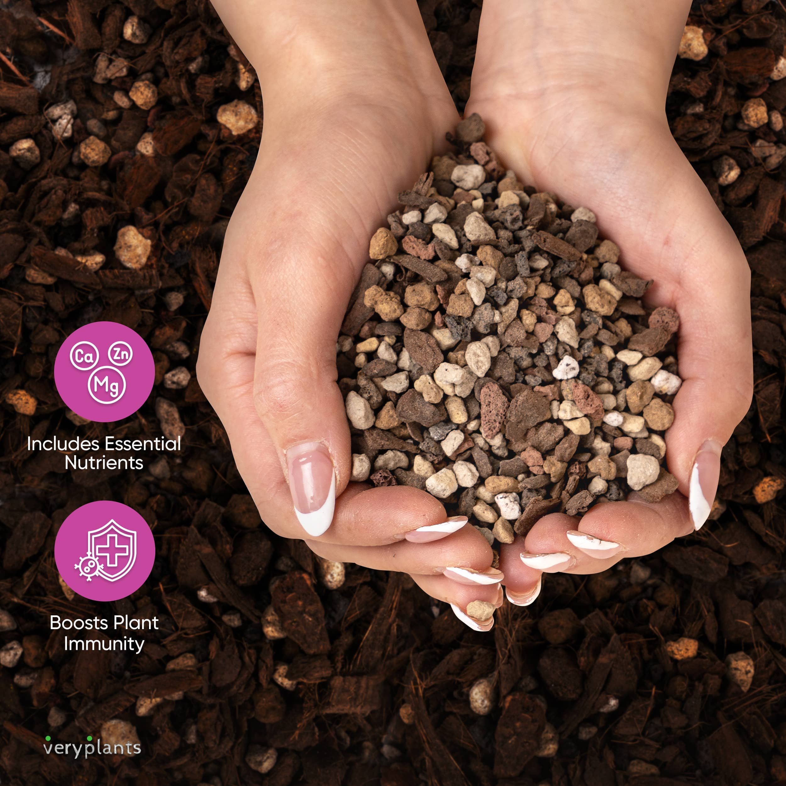 Veryplants Inc - Wholesale Planting/Potting Soil - Molly's Succulent Mix - Premium Soilless Gritty Mix- 5 Quart3