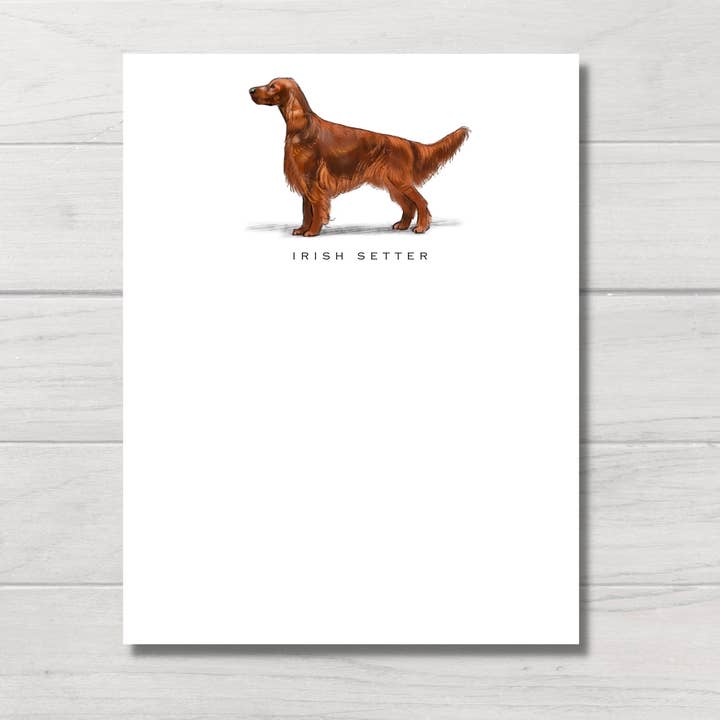 Dog Note Cards | Irish Setter | Set of 6 for wholesale by Fable & Sage