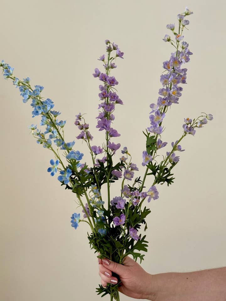Delphinium Real Touch pour la vente par Eucalypt Co.
