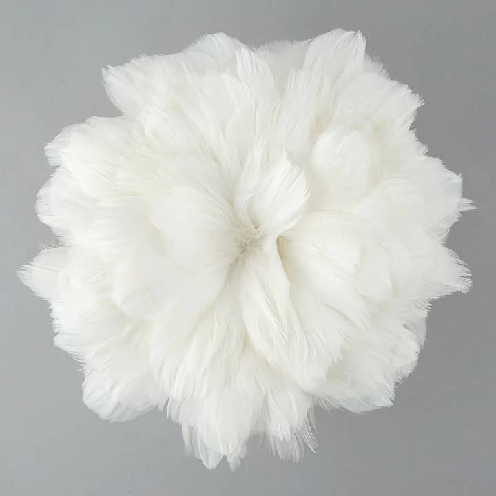 Zucker Feather Products – wholesale Hantverkstillbehör – Goose Coquille fjädrar färgade vita