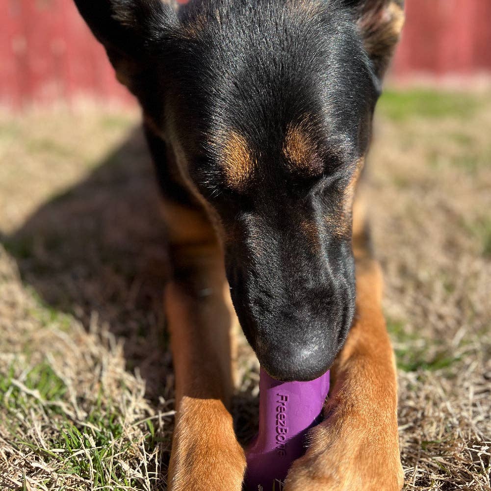 Freezbone - Wholesale Pet Chew Toy - Dog - Freezbone - The Dog Feeders ®5