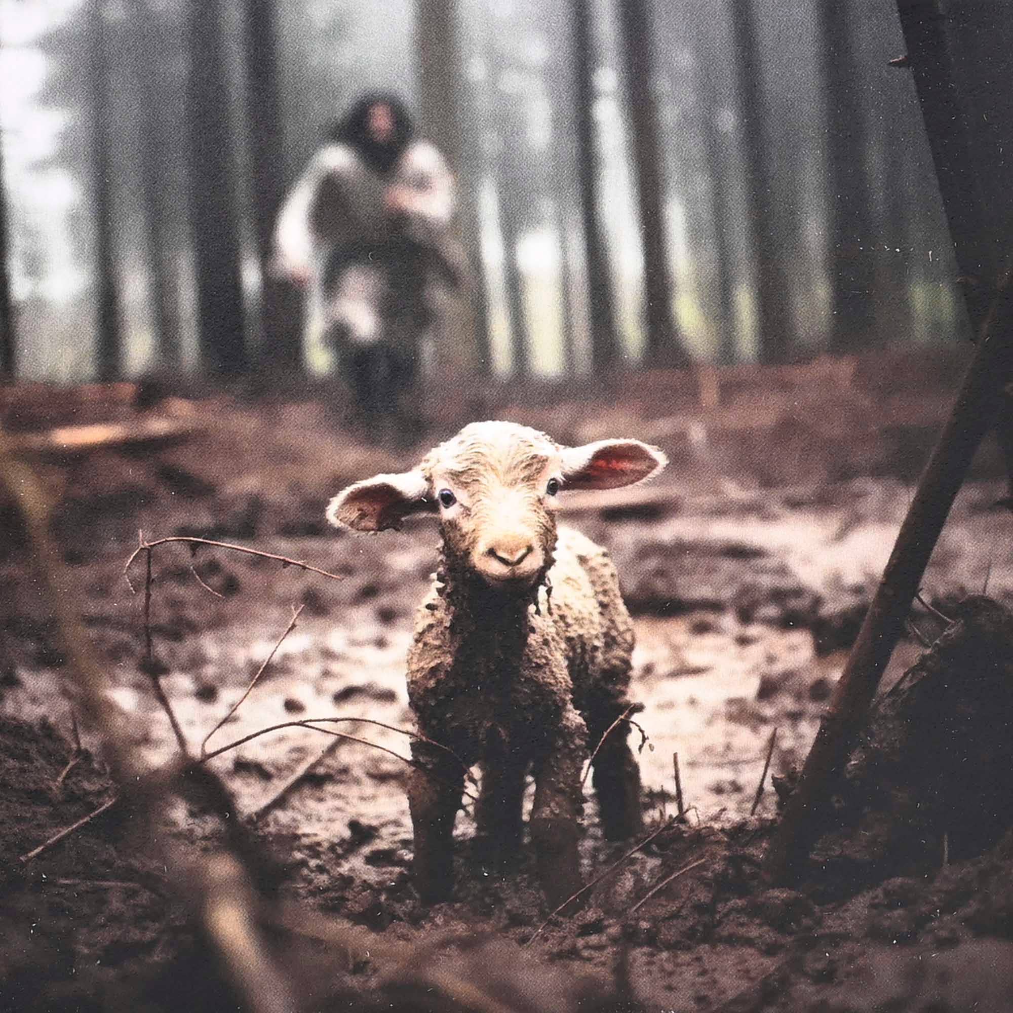 Dicksons - Wholesale Decorative Box - Prayer Box Good Shepherd with 72 Cards2