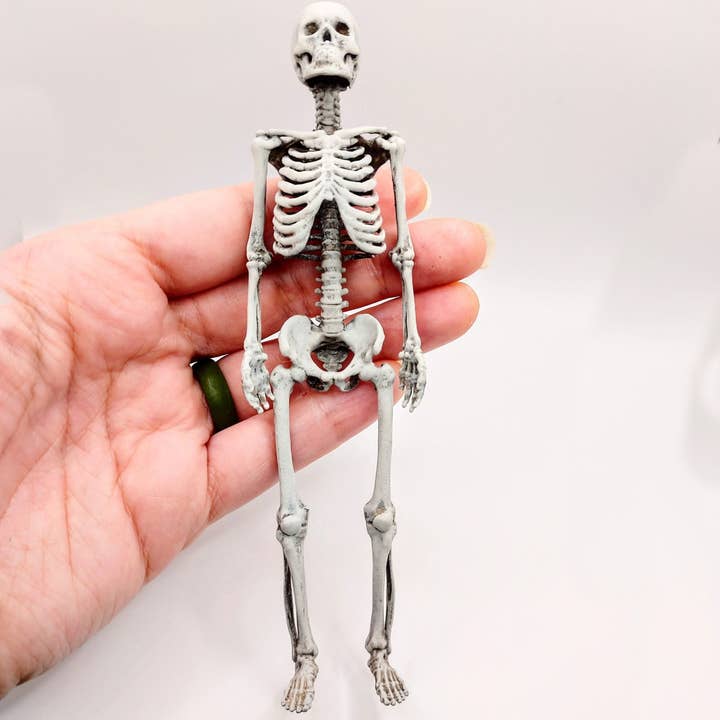 The Scale Grail - Wholesale Decorative figurine - Miniature Human Skeleton, 1:12 scale