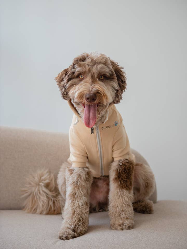 dexypaws - Wholesale Hoodie - Unisex - Hoodie - Beige
