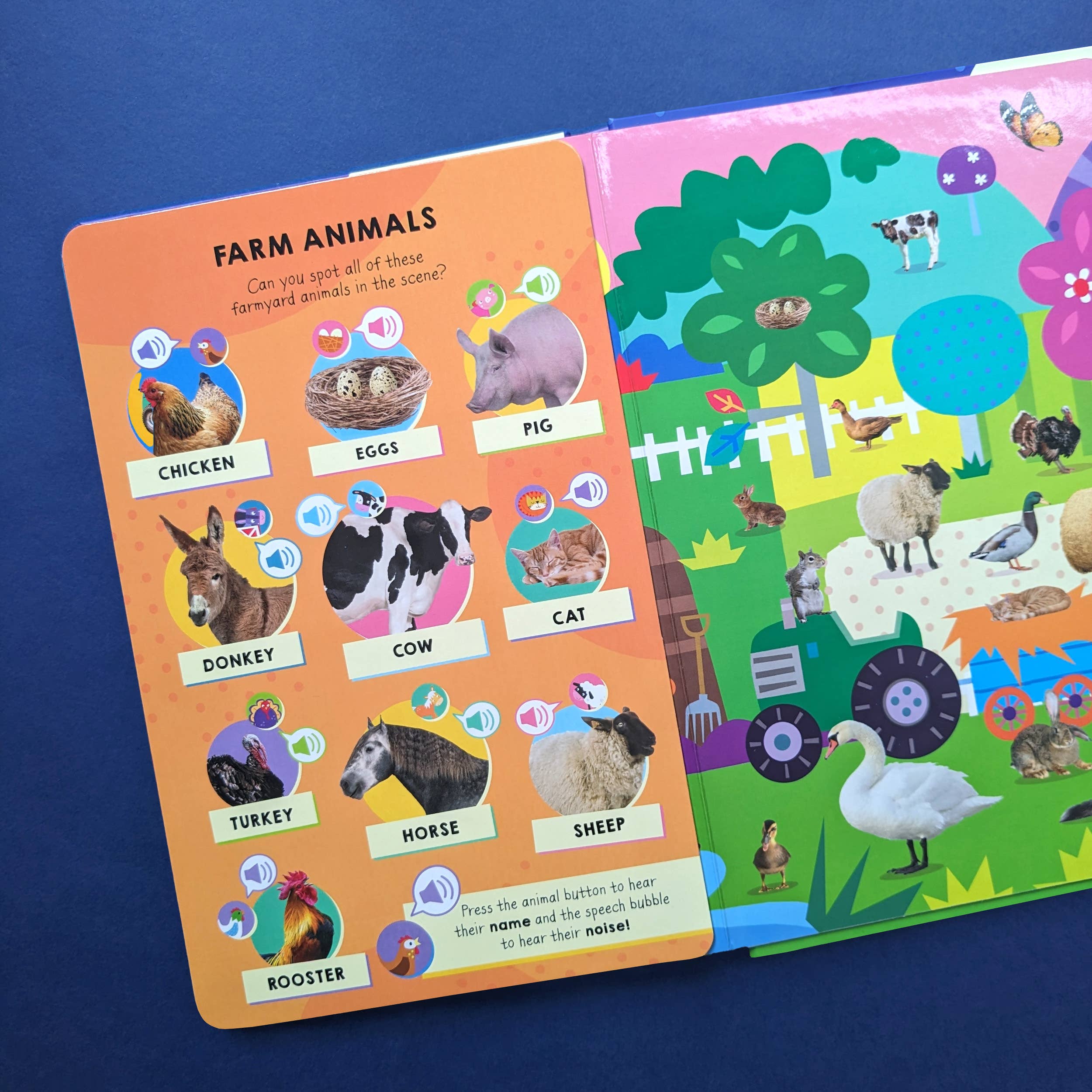 Robert Frederick Ltd - Wholesale Preschool Book (3-5) - 100 Button Sound Book - Animals3