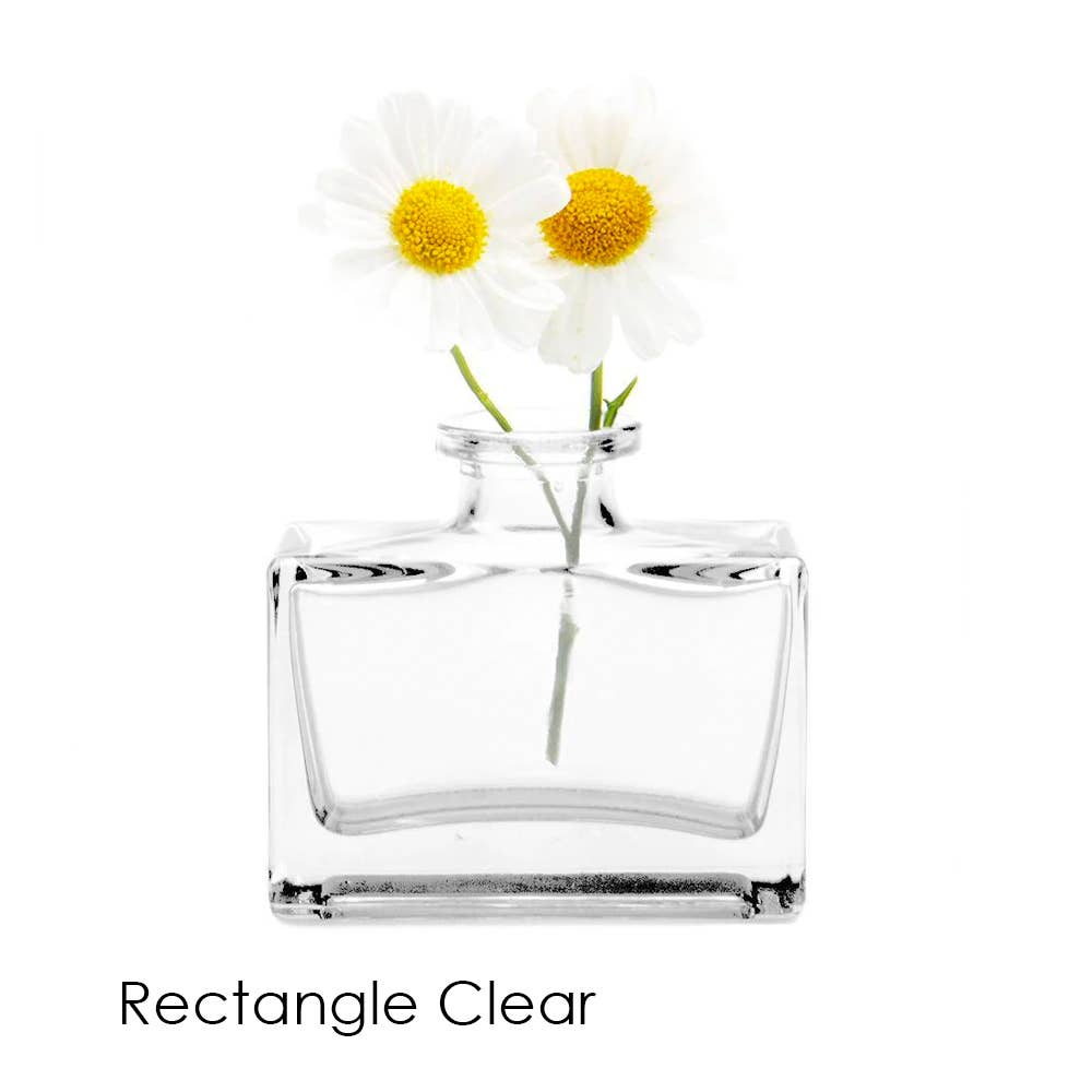 Chive - Wholesale Vase - Loft  Colorful Transparent Bud Vase Set Oval, Round, Square5