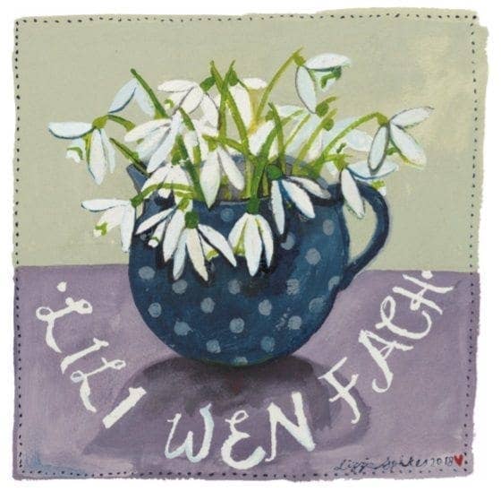 Driftwood Designs - Wholesale Everyday Greeting Card - Lili Wen Fach Mewn Phiser Square Greetings Card0