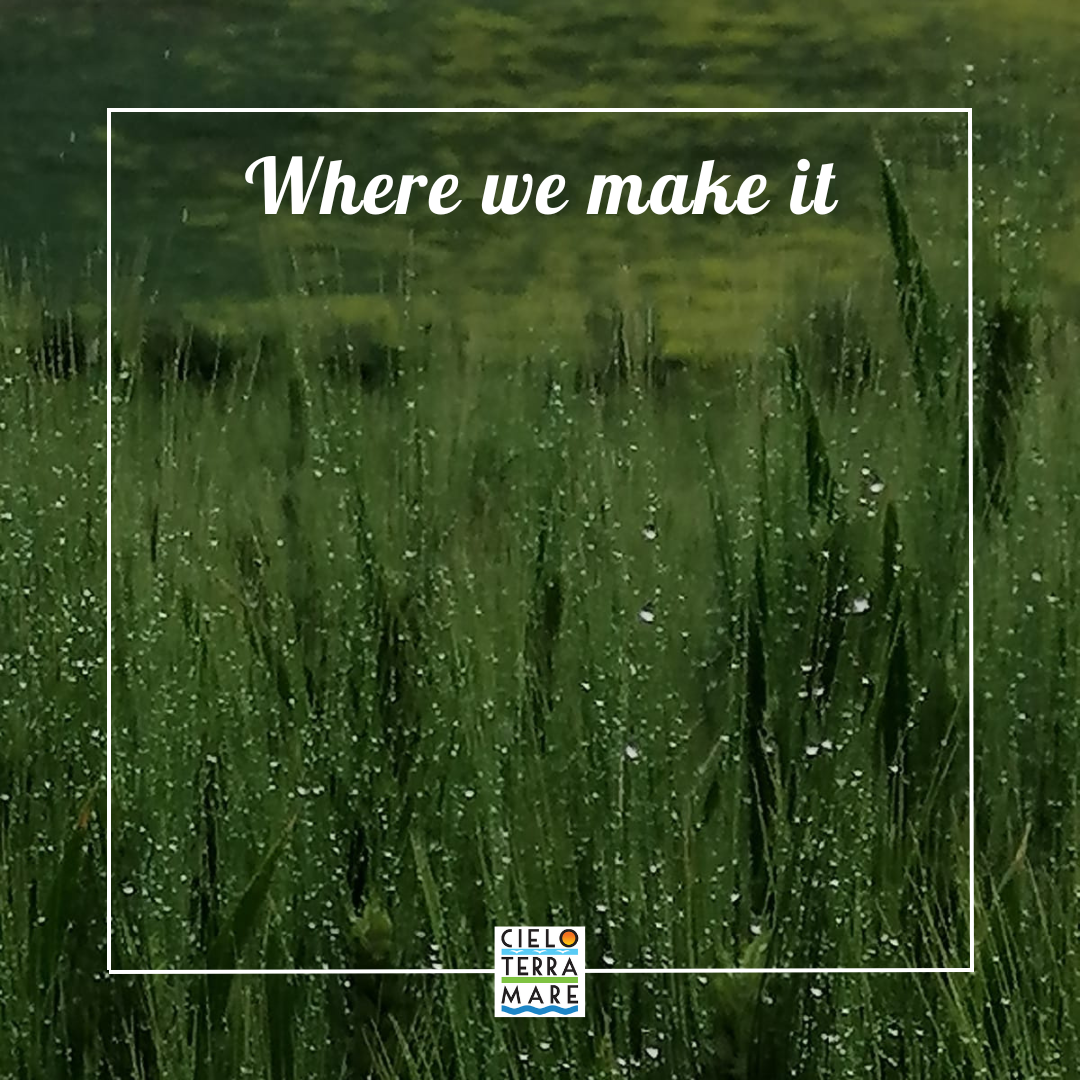 Azienda Agricola Cielo Terra Mare - Wholesale Flour - TIMILIA ORGANIC Wheat FLOUR - stone-ground4